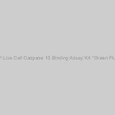 Image of Cell Meter™ Live Cell Caspase 13 Binding Assay Kit *Green Fluorescence*